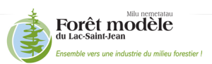 logo FMLSJ