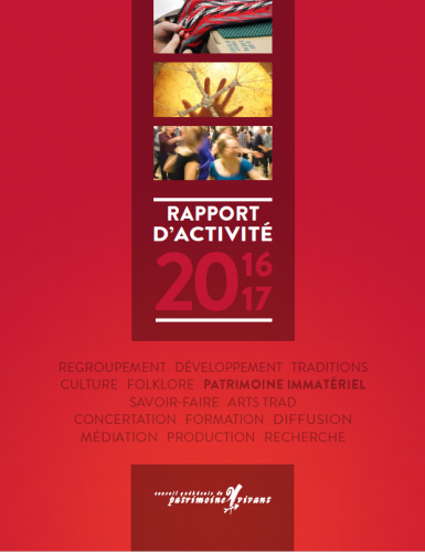 rapport activite